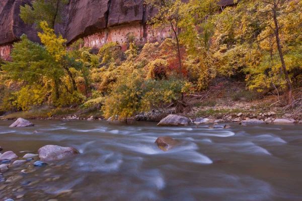 USA, Utah, Zion NP Autumn on the Virgin River